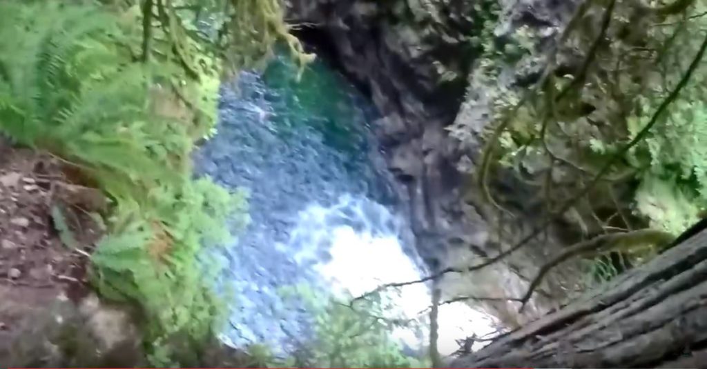 View from the 100ft jump at Lynn's Canyon
