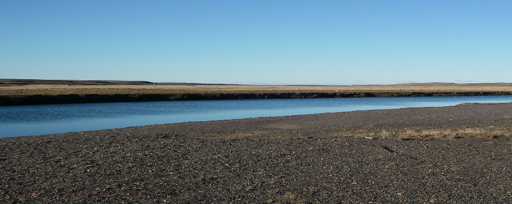 Experiencing solitude and peacefulness on the vast plains, that run near the ocean