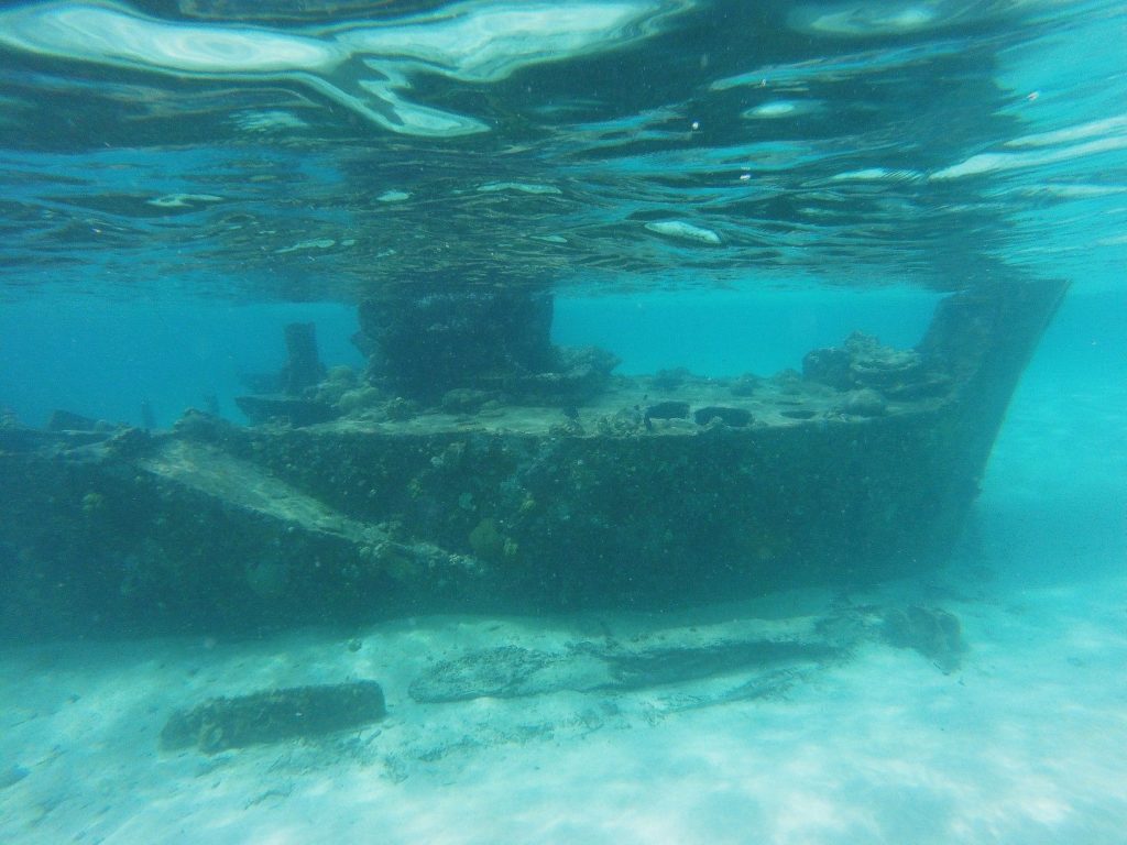 The water is so amazing for snorkelling. Apart from the clear waters there is also really cool stuff to see. A barracuda was spotted whilst snorkelling around a shipwreck just off the shore of Dog's Island.