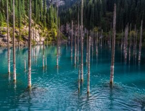 Emerald water caused by limestone deposits