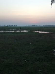 Sunrise across the rice paddies